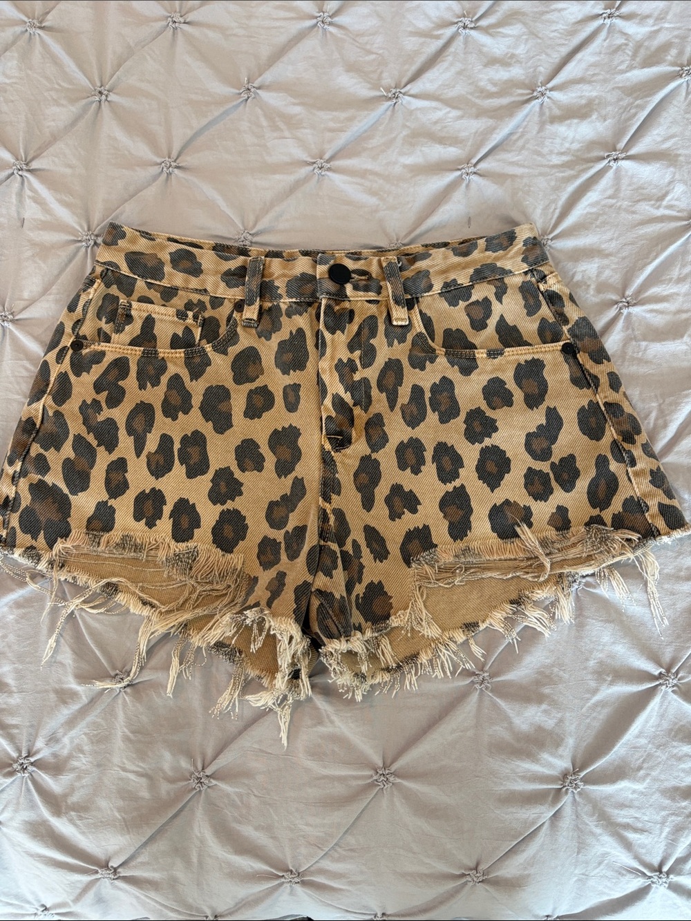 Blank NYC Shorts